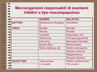Microorganismi responsabili di esantemi infettivi a tipo maculopapuloso Febbre mediterranea Tifo murino Tutte esclusa C. burnetii RICKETTSIE Roseola infantum Megaloeritema Stevens-Johnson Febbri emorragiche Ebola, Marburg, etc. Mononucleosi Epstein-Barr Meningite linfocitaria Echovirus Faringocongiuntivite Adenovirus Herpangina, etc. Coxackie Rosolia Rosolia Morbillo Morbillo VIRUS Scarlattina Streptococco di gruppo A BATTERI MALATTIA GENERE 