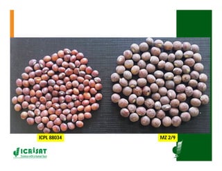 ICRISATEast and Southern Africa Overview