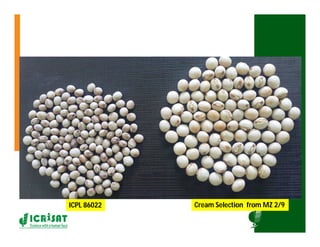 ICRISATEast and Southern Africa Overview