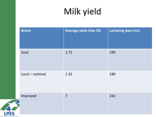 Developing the butter value chain in Ethiopia 