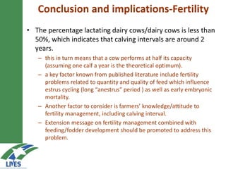 Developing the butter value chain in Ethiopia 