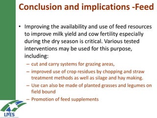 Developing the butter value chain in Ethiopia 