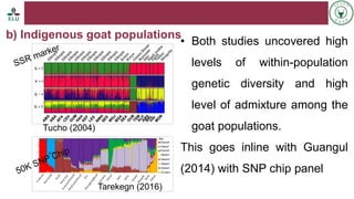 Status of livestock genomics research in Ethiopia and its implementation into the breed improvement programs