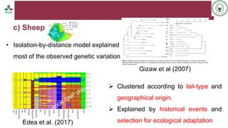 Status of livestock genomics research in Ethiopia and its implementation into the breed improvement programs