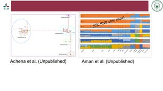 Status of livestock genomics research in Ethiopia and its implementation into the breed improvement programs