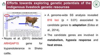 Status of livestock genomics research in Ethiopia and its implementation into the breed improvement programs