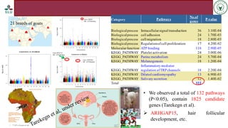Status of livestock genomics research in Ethiopia and its implementation into the breed improvement programs
