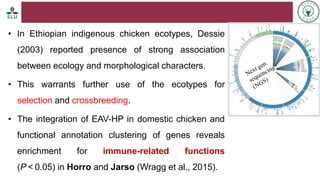 Status of livestock genomics research in Ethiopia and its implementation into the breed improvement programs