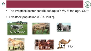 Status of livestock genomics research in Ethiopia and its implementation into the breed improvement programs