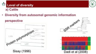 Status of livestock genomics research in Ethiopia and its implementation into the breed improvement programs