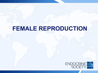 FEMALE REPRODUCTION
 