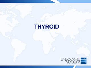 THYROID
 