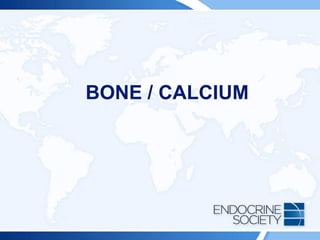 BONE / CALCIUM
 