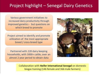 The science of genomics and livestock genetic improvement