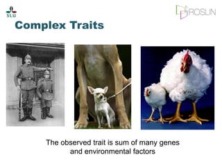 The science of genomics and livestock genetic improvement