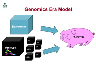 The science of genomics and livestock genetic improvement