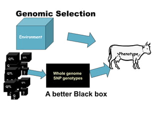 The science of genomics and livestock genetic improvement