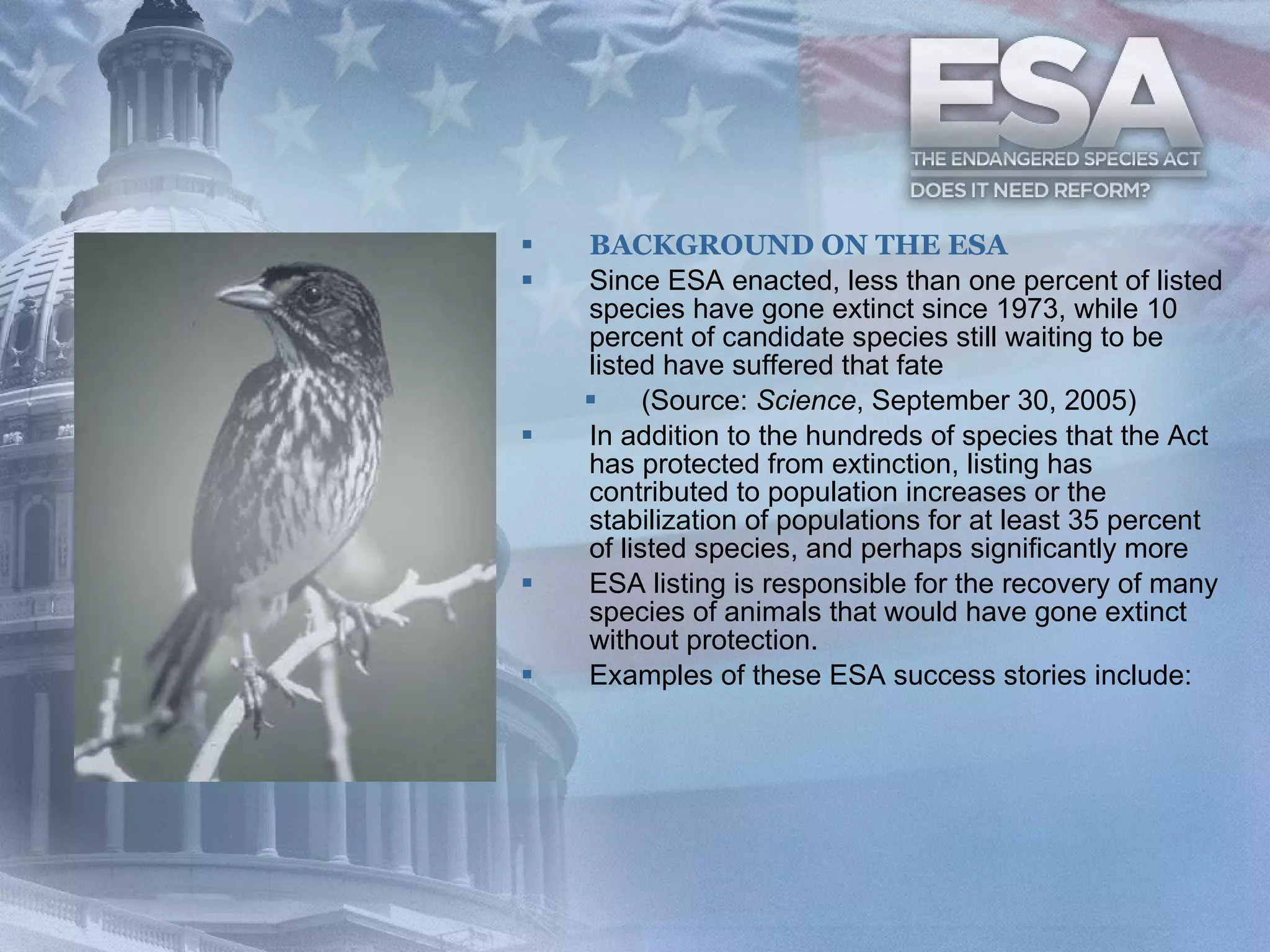 BACKGROUND ON THE ESA Since ESA enacted, less than one percent of listed species have gone extinct since 1973, while 10 percent of candidate species still waiting to be listed have suffered that fate (Source:  Science , September 30, 2005) In addition to the hundreds of species that the Act has protected from extinction, listing has contributed to population increases or the stabilization of populations for at least 35 percent of listed species, and perhaps significantly more ESA listing is responsible for the recovery of many species of animals that would have gone extinct without protection.  Examples of these ESA success stories include:  
