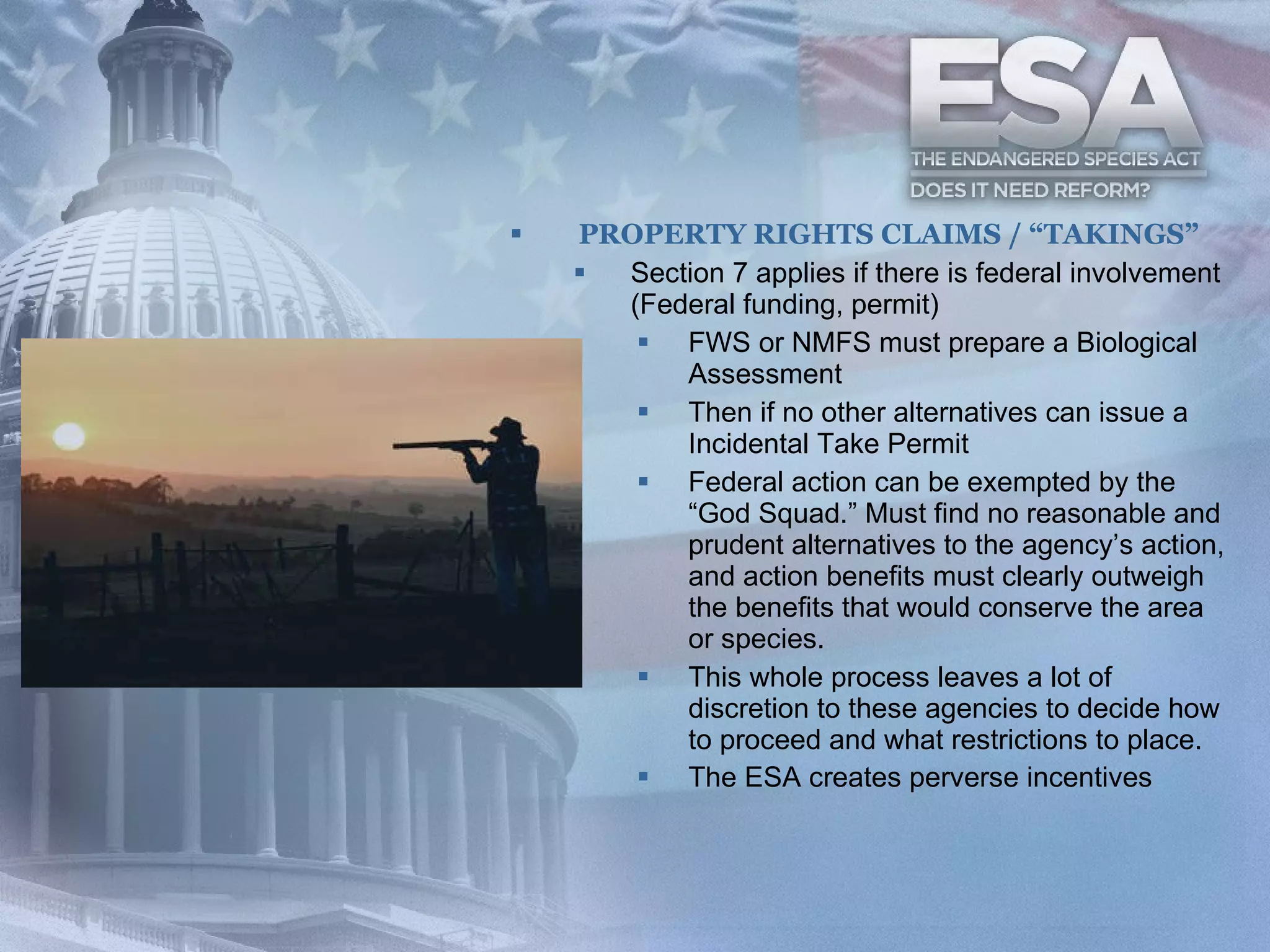 PROPERTY RIGHTS CLAIMS / “TAKINGS” Section 7 applies if there is federal involvement (Federal funding, permit)  FWS or NMFS must prepare a Biological Assessment  Then if no other alternatives can issue a Incidental Take Permit  Federal action can be exempted by the “God Squad.” Must find no reasonable and prudent alternatives to the agency’s action, and action benefits must clearly outweigh the benefits that would conserve the area or species. This whole process leaves a lot of discretion to these agencies to decide how to proceed and what restrictions to place.  The ESA creates perverse incentives   