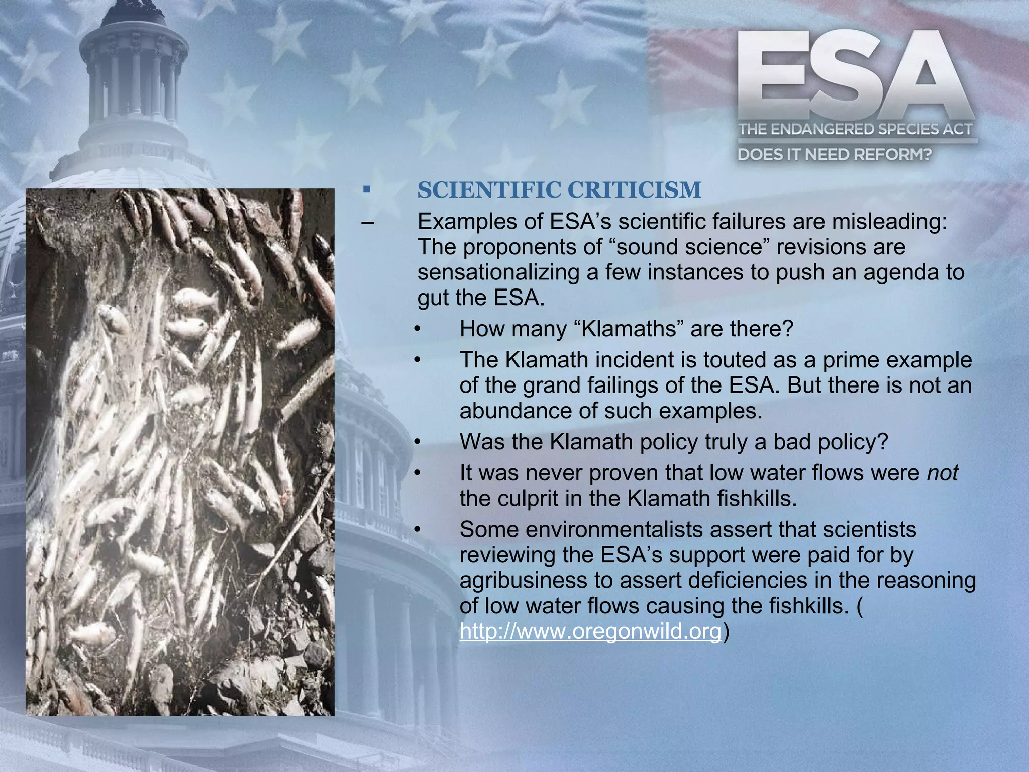 SCIENTIFIC CRITICISM Examples of ESA’s scientific failures are misleading: The proponents of “sound science” revisions are sensationalizing a few instances to push an agenda to gut the ESA.  How many “Klamaths” are there?  The Klamath incident is touted as a prime example of the grand failings of the ESA. But there is not an abundance of such examples.  Was the Klamath policy truly a bad policy?  It was never proven that low water flows were  not  the culprit in the Klamath fishkills.  Some environmentalists assert that scientists reviewing the ESA’s support were paid for by agribusiness to assert deficiencies in the reasoning of low water flows causing the fishkills. ( http://www.oregonwild.org )  