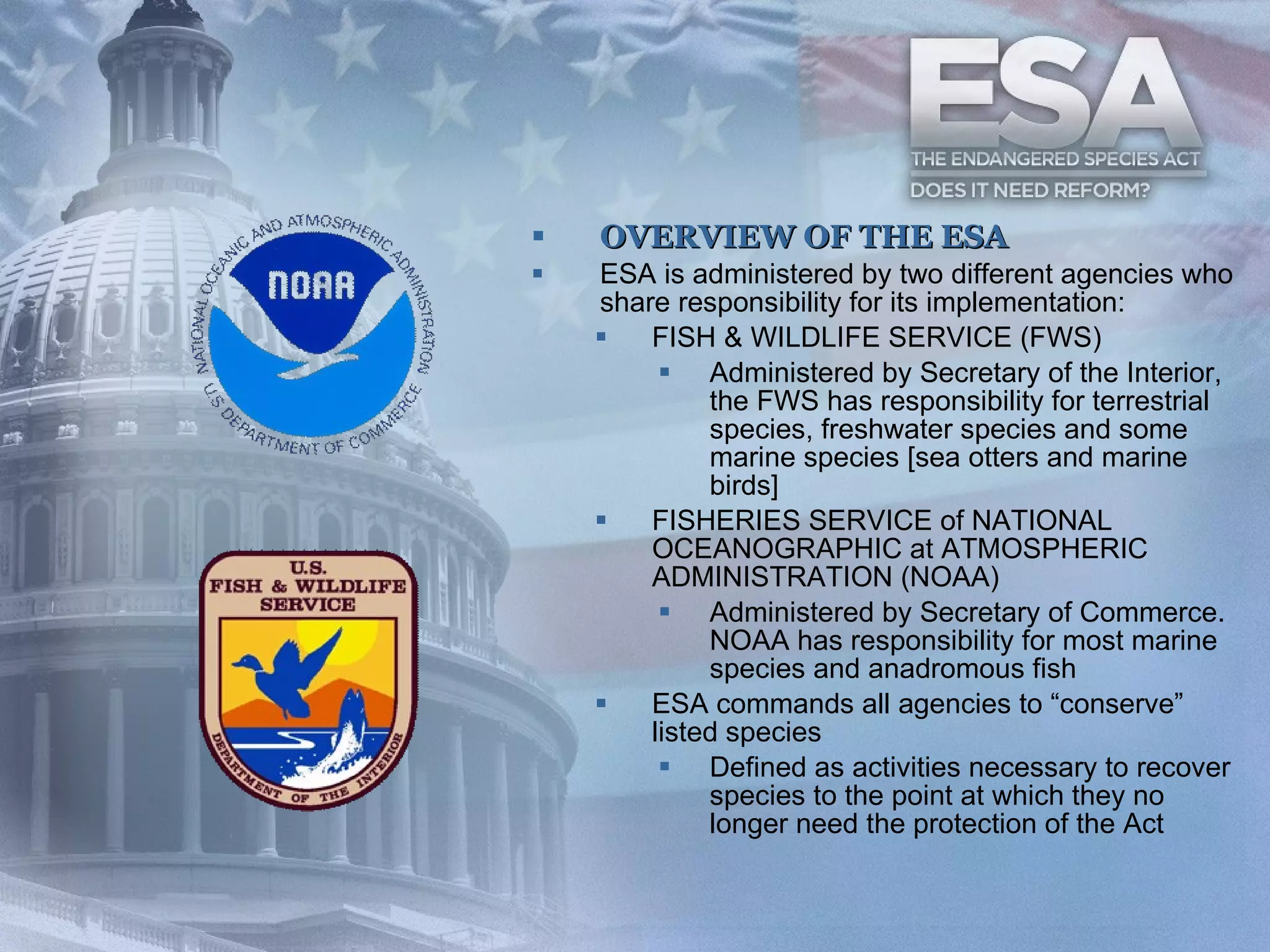 OVERVIEW OF THE ESA ESA is administered by two different agencies who share responsibility for its implementation: FISH & WILDLIFE SERVICE (FWS) Administered by Secretary of the Interior, the FWS has responsibility for terrestrial species, freshwater species and some marine species [sea otters and marine birds] FISHERIES SERVICE of NATIONAL OCEANOGRAPHIC at ATMOSPHERIC ADMINISTRATION (NOAA)  Administered by Secretary of Commerce. NOAA has responsibility for most marine species and anadromous fish ESA commands all agencies to “conserve” listed species Defined as activities necessary to recover species to the point at which they no longer need the protection of the Act  