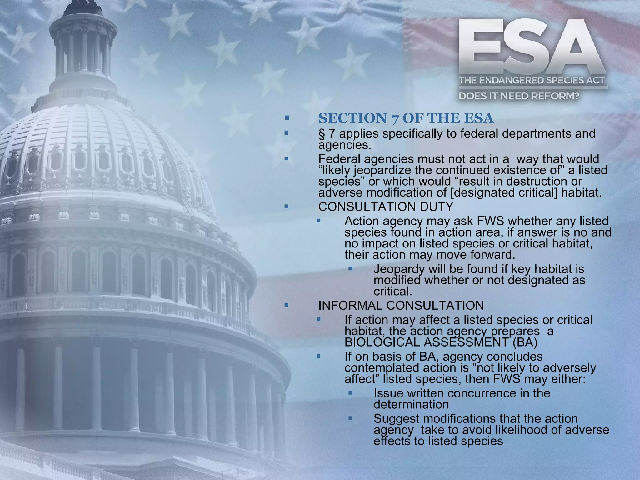 SECTION 7 OF THE ESA § 7 applies specifically to federal departments and agencies. Federal agencies must not act in a  way that would “likely jeopardize the continued existence of” a listed species” or which would “result in destruction or adverse modification of [designated critical] habitat. CONSULTATION DUTY Action agency may ask FWS whether any listed species found in action area, if answer is no and no impact on listed species or critical habitat, their action may move forward. Jeopardy will be found if key habitat is modified whether or not designated as critical. INFORMAL CONSULTATION If action may affect a listed species or critical habitat, the action agency prepares  a BIOLOGICAL ASSESSMENT (BA) If on basis of BA, agency concludes contemplated action is “not likely to adversely affect” listed species, then FWS may either: Issue written concurrence in the determination Suggest modifications that the action agency  take to avoid likelihood of adverse effects to listed species 