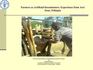 Farmers as Artificial Inseminators: Experience from Arsi
Zone, Ethiopia
FAO-Crop Diversification and Marketing Development Project
By
Hizikias Ketema,
Livestock Development National Consultant
25-28 October,2010, Addis Ababa , Ethiopia
 