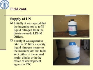 Field cont.
Supply of LN
 Initially it was agreed that
the inseminators to refill
liquid nitrogen from the
district/woreda LDHM
Offices.
 Finally it was agreed to
take the 35 litres capacity
liquid nitrogen nearer to
the inseminators and to be
kept either in the animal
health clinics or in the
office of development
agents in FTC
 