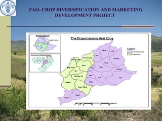 FAO- CROP DIVERSIFICATION AND MARKETING
DEVELOPMENT PROJECT
 