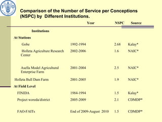 Comparison of the Number of Service per Conceptions
(NSPC) by Different Institutions.
Institutions
Year NSPC Source
At Stations
         Gobe 1992-1994 2.68 Kalay*
         Holleta Agriculture Research 
        Center
2002-2006 1.6 NAIC*
        Asella Model Agricultural 
        Enterprise Farm 
2001-2004 2.5 NAIC*
 Holleta Bull Dam Farm 2001-2005 1.9 NAIC*
At Field Level
    FINIDA 1984-1994 1.5 Kalay*
    Project woreda/district 2005-2009 2.1 CDMDP*
    FAO-FAITs End of 2009-August  2010 1.5 CDMDP*
 