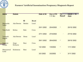 Farmers’ Artificial Insemination Pregnancy Diagnosis Report
Name Kebele
ID Breed
Date of AI Date of PD
± 15 days
PD
Result*
E.B.D ± 15
days
Maseresha 
Teferi
Ada Daweta Meteke Local
25/1/ 2002 25/4/2002 +
25/10/ 2002
Tuna Kedir Kelesa Bule Cross
27/1/ 2002 27/4/2002 -
27/10/ 2002
Turunesh 
Degefa
Ada Daweta Dema Local
28/1/ 2002 28/4/2002 +
28/10/ 2002
Teshome 
Bejega
Jengo 
Keleyesa
Bure Cross
1/2/ 2002 1/5/2002 +
1/11/ 2002
Manyazewal 
Lema
Kulumessa Bure Local
3/3/ 2002 3/2/2002 +
3/11/ 2002
 