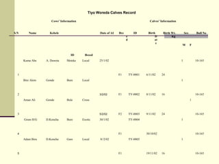 Tiyo Woreda Calves Record
Cows’ Information Calves’ Information
S.N Name Kebele
ID Breed
Date of AI Bre
e
d
ID Birth
D
at
e
Birth Wt.
Kg
Sex Bull No
M F
1
Kuma Abe A. Daweta Meteke Local 25/1/02
F1 TY-0001 6/11/02 24
1 10-165
2
Bire Alem Gonde Bure Local
3/2/02 F1 TY-0002 8/11/02 16
1
10-165
3
Aman Ali Gonde Bule Cross
5/2/02 F2 TY-0003 9/11/02 24
1
10-165
4
 Grum H/G D.Koncha Bure Exotic 30/1/02
F1
TY-0004
30/10/02
1
10-165
5
Adam Biru D.Koncha Gare Local  8//2/02
F1
TY-0005
19/11/02 16
1
10-165
 