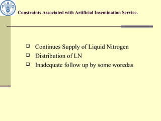 Constraints Associated with Artificial Insemination Service.
 Continues Supply of Liquid Nitrogen
 Distribution of LN
 Inadequate follow up by some woredas
 