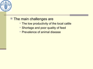 The main challenges are
 The low productivity of the local cattle
 Shortage and poor quality of feed
 Prevalence of animal disease
 