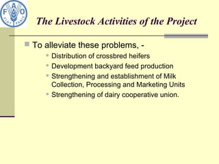 The Livestock Activities of the Project
 To alleviate these problems, -
 Distribution of crossbred heifers
 Development backyard feed production
 Strengthening and establishment of Milk
Collection, Processing and Marketing Units
 Strengthening of dairy cooperative union.
 