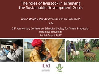 The roles of livestock in achieving
the Sustainable Development Goals
Iain A Wright, Deputy Director General-Research
ILRI
25th Anniversary Conference, Ethiopian Society for Animal Production
Haramaya University
24–26 August 2017
 