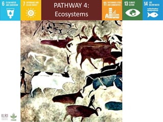 The roles of livestock in achieving the sustainable development goals
