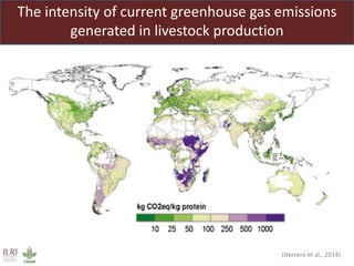 The roles of livestock in achieving the sustainable development goals