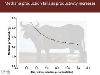 The roles of livestock in achieving the sustainable development goals