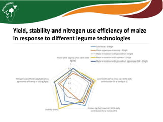 Intensifying legume/cereal cropping systems in Malawi