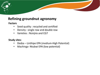 Intensifying legume/cereal cropping systems in Malawi