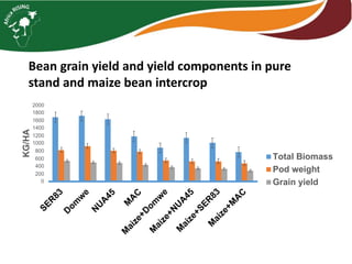 Intensifying legume/cereal cropping systems in Malawi
