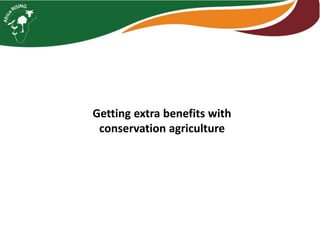 Intensifying legume/cereal cropping systems in Malawi