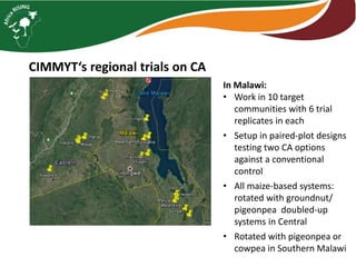 Intensifying legume/cereal cropping systems in Malawi