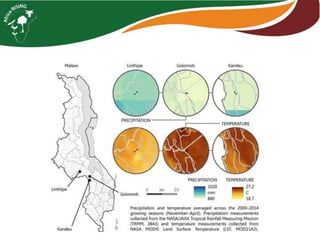 Intensifying legume/cereal cropping systems in Malawi
