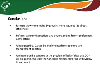 Intensifying legume/cereal cropping systems in Malawi