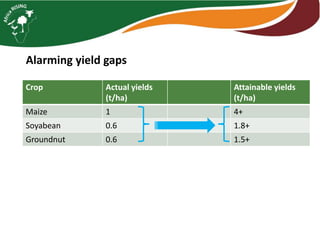 Intensifying legume/cereal cropping systems in Malawi
