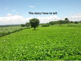 Intensifying legume/cereal cropping systems in Malawi