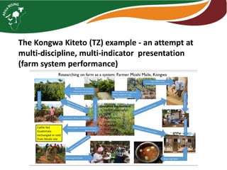 Farm level case studies Tanzania