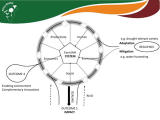 Farm level case studies Tanzania